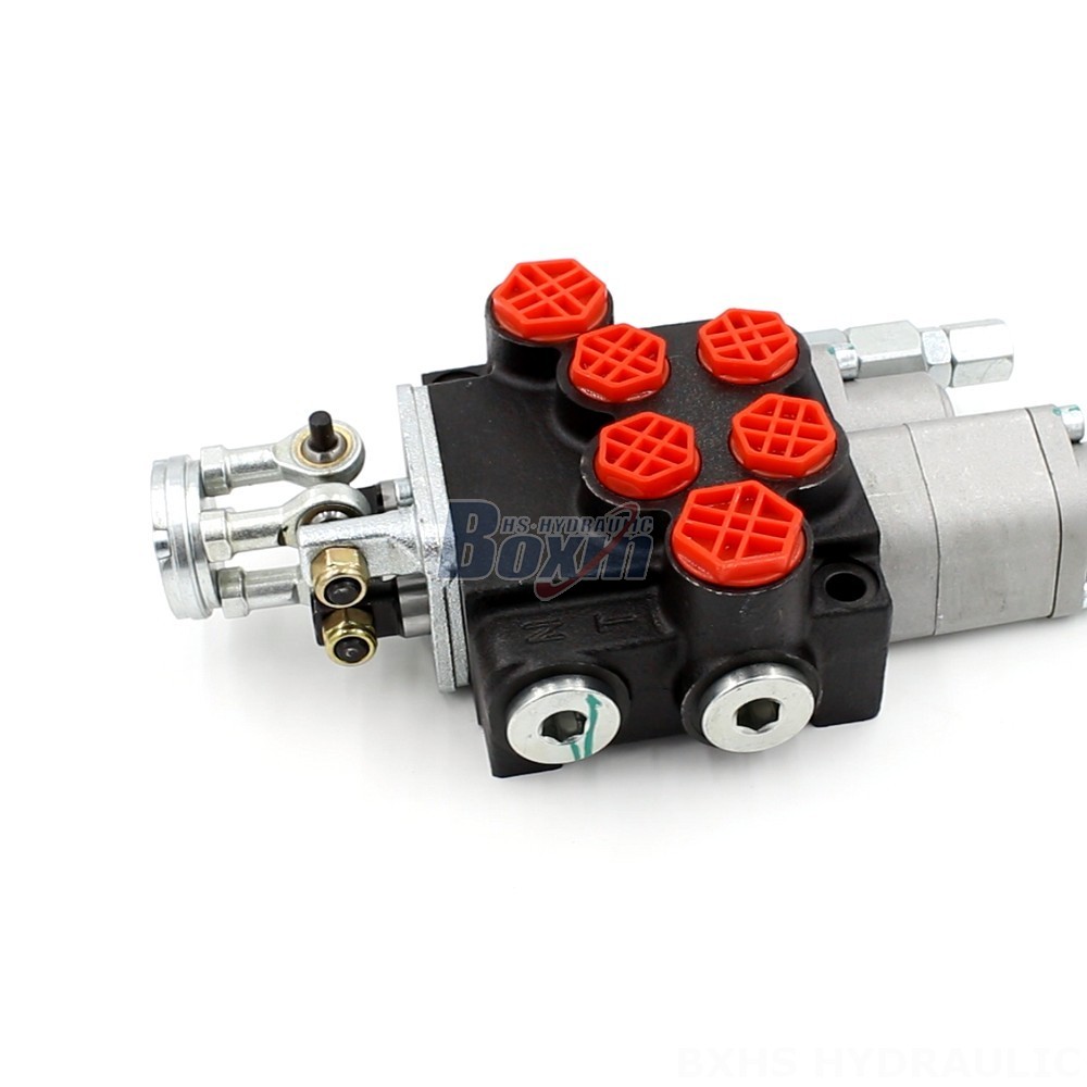 P40-G12-G38-OT-QTW Valve for Demanding Hydraulic Applications | Expertly Engineered cover photo